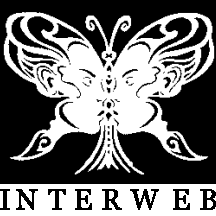 Websafe Studio Interweb page icon